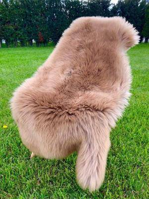Peaux de mouton - Meliert Toffee - Mouton renard de Cobourg - toffee-sheepskins-adam-leather
