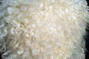Peaux de mouton - Gotland - unique-fluffy-sheepskin-gotland