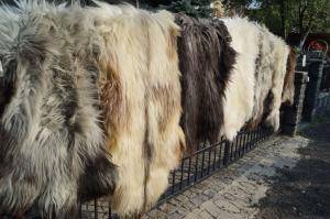 Peaux de mouton - Heidschnucke - unique-heidschnucke-sheepskin