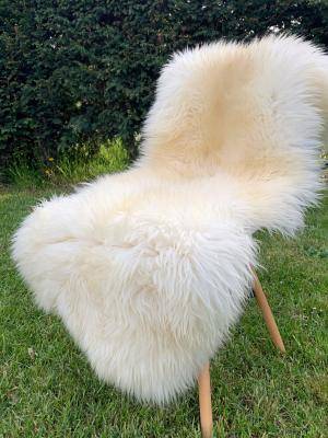Peaux de mouton - Peaux hollandaises - white-holland-sheepskins