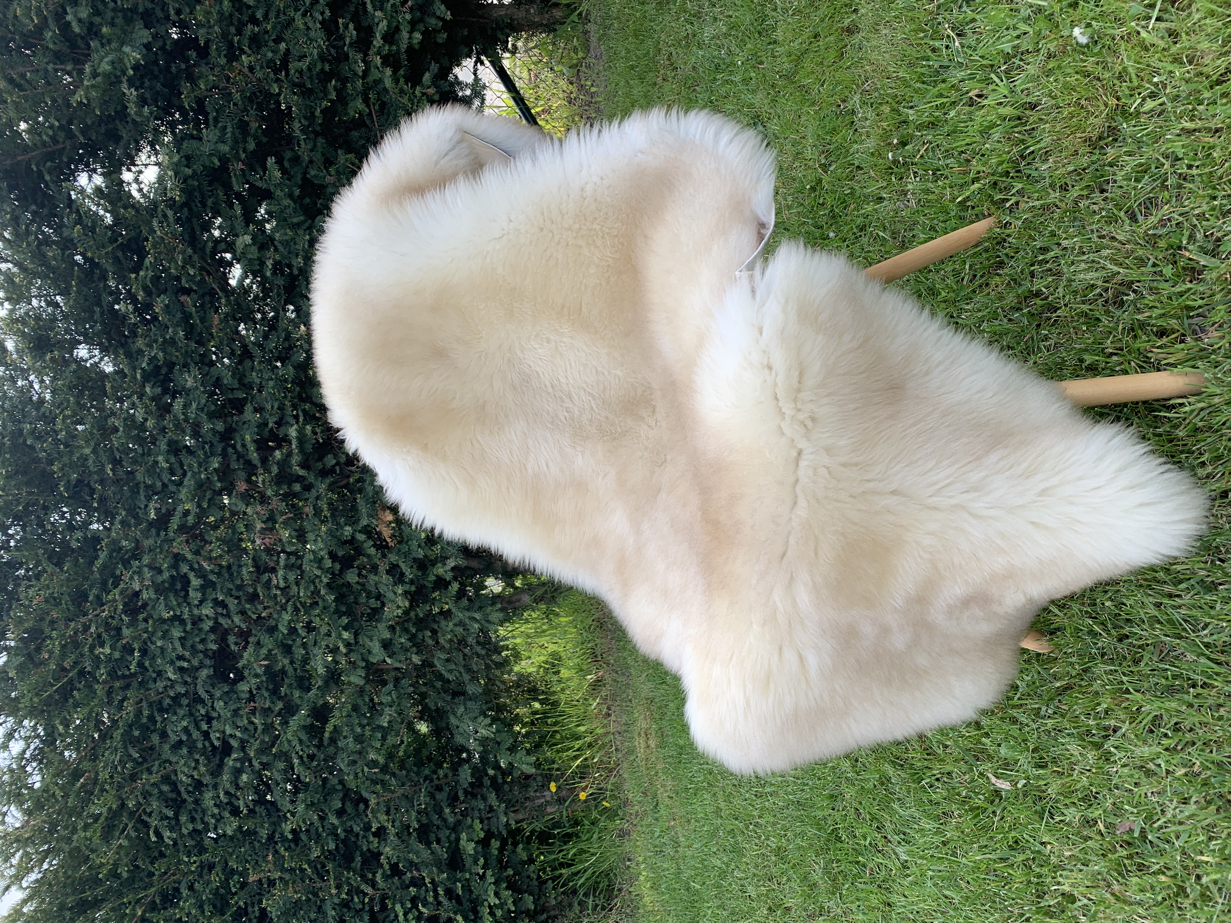 Peaux de mouton - Meliert - Cookies - white-meliert-cookies-sheepskins-adam-leather