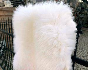 Peaux de mouton -  Peau de mouton naturelle - white-natural-sheepskins-sheep-adam-leather