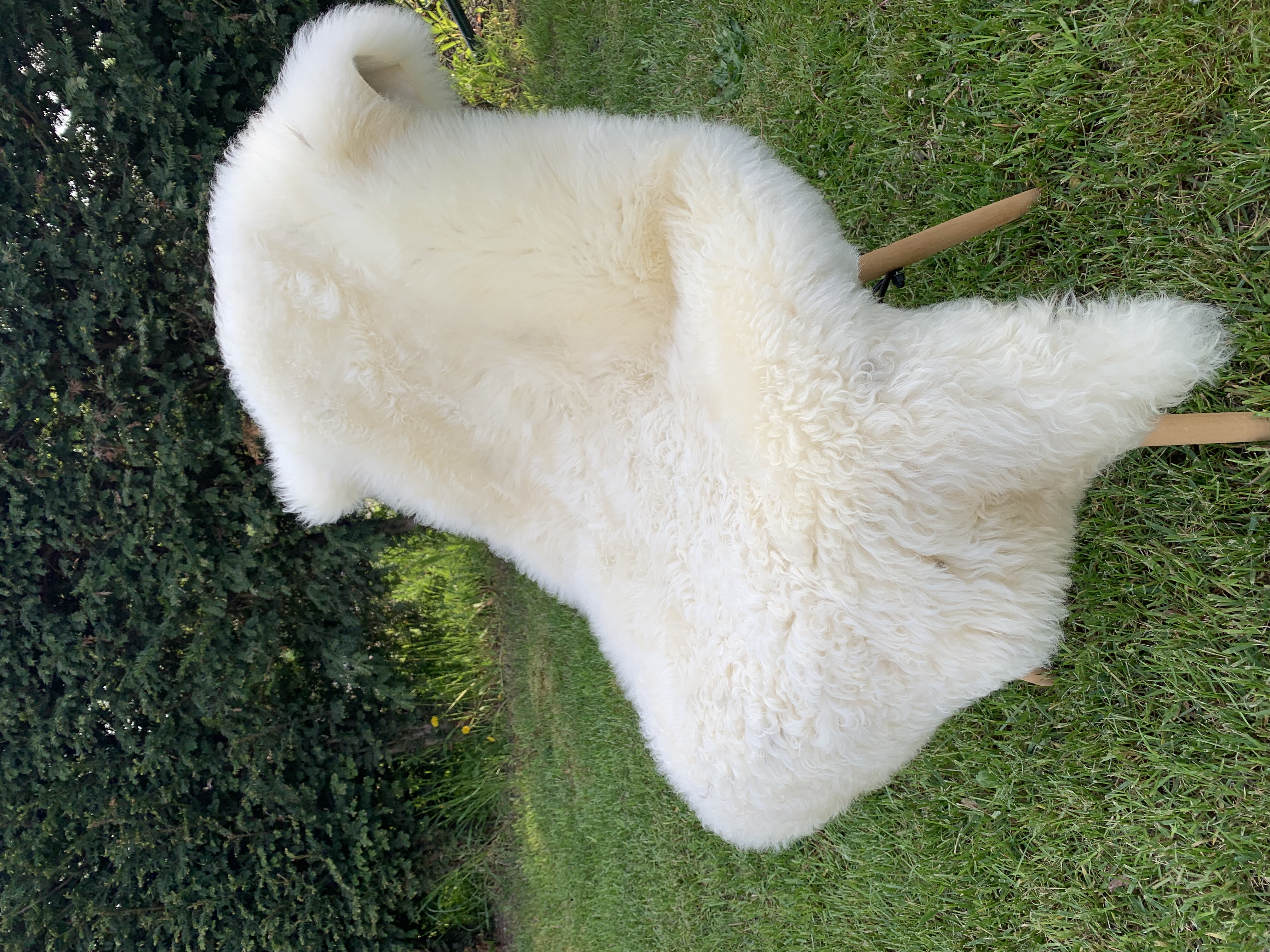 Peaux de mouton - Peaux suédoises - white-swedish-sheepskins-adam-leather