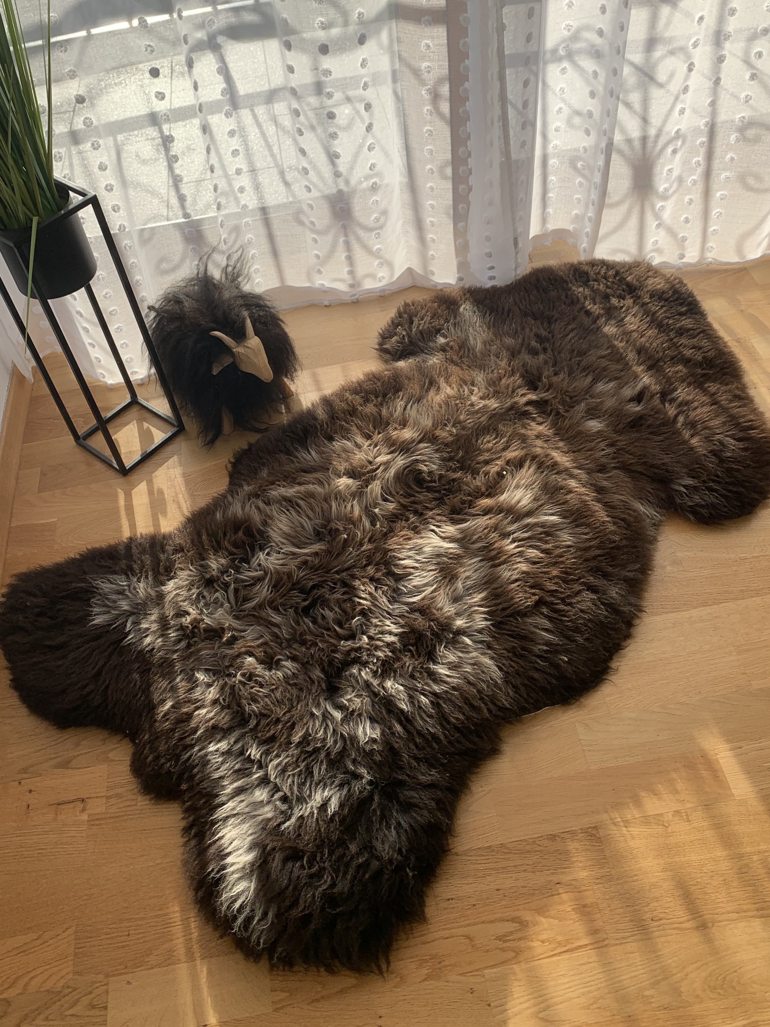 Peaux de mouton -  Peau de mouton - texel-brown-sheepskin-adam-leather