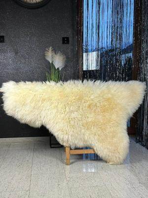 Peaux de mouton - Tapis de selle - 16.bialdydlugiwlosbezsiodla