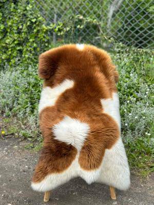 Peaux de mouton - PEAU DE MOUTON POUR LE JARDIN - DÉCORATIONS DE JARDIN - 3461086951740333489491458758041074106936910n1
