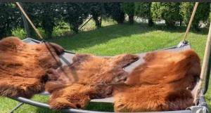 Peaux de mouton - PEAU DE MOUTON POUR LE JARDIN - DÉCORATIONS DE JARDIN - 37964464513933570882617336061104742132400339n