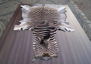 Peaux de mouton - Peaux d’Afrique - 542260_glamorous-african-skins-adam-leather-tannery-poland