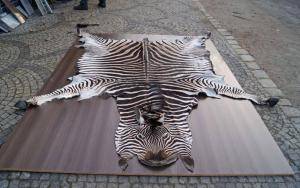 Peaux de mouton - Peaux d’Afrique - 959706gorgeous-african-skinsclimage1920x1080-100