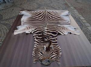 Peaux de mouton - Peaux d’Afrique - artistic-african-skins-adam-leather