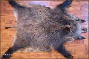 Peaux de mouton - Peaux de sanglier - beauty-boar-skins-adam-leather
