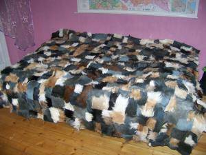 Peaux de mouton - Peaux de chèvre - charming-goat-skins-adam-leather