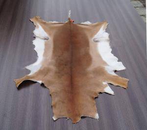 Peaux de mouton - Peaux d’Afrique - cool-african-skins-adam-leather-eco