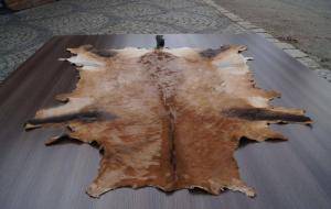 Peaux de mouton - Peaux d’Afrique - delightful-african-skins-adam-leather