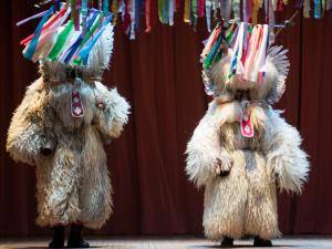 Peaux de mouton - Peau de mouton pour costume - Personnage Kurent/Korant - dtd76-sloveniannationalhomecleveland26361364428