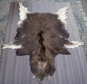 Peaux de mouton - Peaux d’Afrique - engaging-african-skins-adam-leather