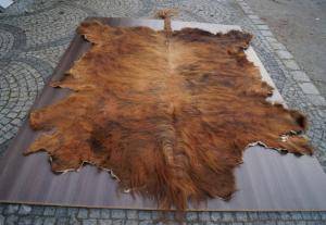 Peaux de mouton - Peaux d’Afrique - fantastic-african-skins-adam-leather-tannery-poland