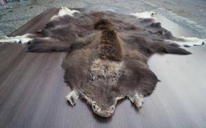 Peaux de mouton - Peaux d’Afrique - fluffy-african-skins-adam-leather