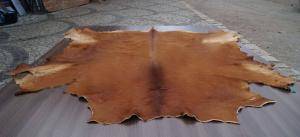Peaux de mouton - Peaux d’Afrique - glam-african-skins4climage1920x1080-100