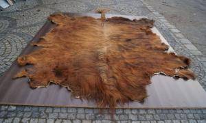 Peaux de mouton - Peaux d’Afrique - glorious-african-skins-adam-leather-eco
