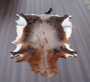 Peaux de mouton - Peaux d’Afrique - goodly-african-skins-adam-leather