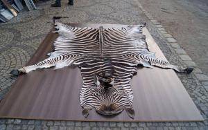 Peaux de mouton - Peaux d’Afrique - gorgeous-african-skins-adam-leather-eco