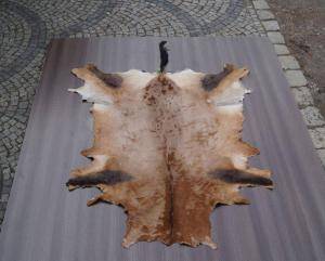 Peaux de mouton - Peaux d’Afrique - gorgeous-african-skins-adam-leather