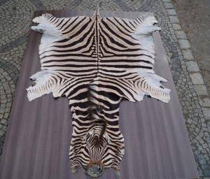 Peaux de mouton - Peaux d’Afrique - great-african-skins-adam-leather