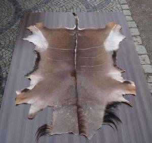 Peaux de mouton - Peaux d’Afrique - grey-african-skins-adam-leather
