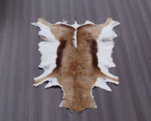 Peaux de mouton - Peaux d’Afrique - lovely-african-skins-adam-leather-eco-tannery-poland