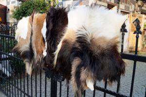 Peaux de mouton - Peaux de chèvre - lovely-goat-skins-adam-leather