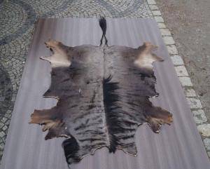 Peaux de mouton - Peaux d’Afrique - magical-african-skins-adam-leather
