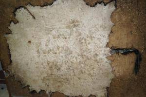 Peaux de mouton - Peaux d’Afrique - magnificent-african-skins-adam-leather