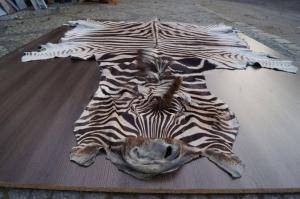 Peaux de mouton - Peaux d’Afrique - magnificent-african-skins-eco-adam-leather
