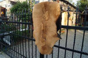 Peaux de mouton - Peaux de chèvre - magnificent-goat-skins-adam-leather