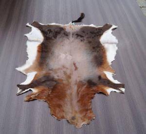 Peaux de mouton - Peaux d’Afrique - natural-african-skins-adam-leather