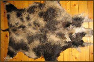 Peaux de mouton - Peaux de sanglier - natural-boar-skins-adam-leather