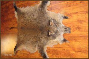 Peaux de mouton - Peaux de sanglier - original-boar-skins-adam-leather