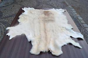 Peaux de mouton - Peaux d’Afrique - pleasing-african-skins-adam-leather-eco