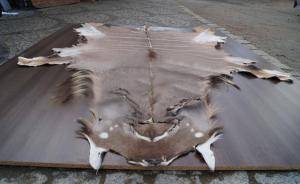 Peaux de mouton - Peaux d’Afrique - pretty-african-skins-adam-leather
