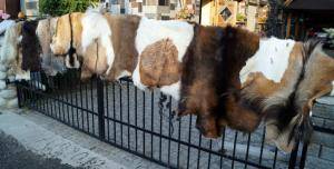 Peaux de mouton - Peaux de chèvre - pretty-goat-skins-adam-leather