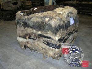 Peaux de mouton - Peaux brutes, peaux de mouton salées - raw-hides-adam-leather-sheepskins