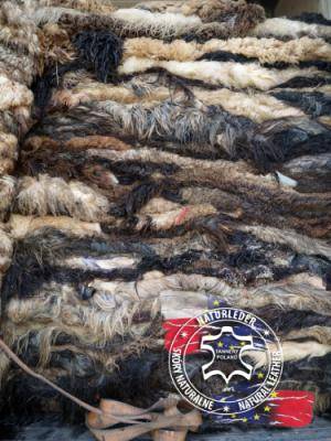 Peaux de mouton - Peaux brutes, peaux de mouton salées - raw-hides-melerade-adam-leather