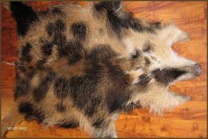 Peaux de mouton - Peaux de sanglier - superb-boar-skins-adam-leather