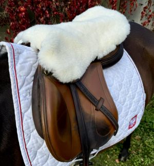 Peaux de mouton - Housses de selle équestre - tempimagejcx3gg