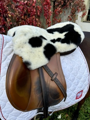 Peaux de mouton - Housses de selle équestre - tempimagejoijez