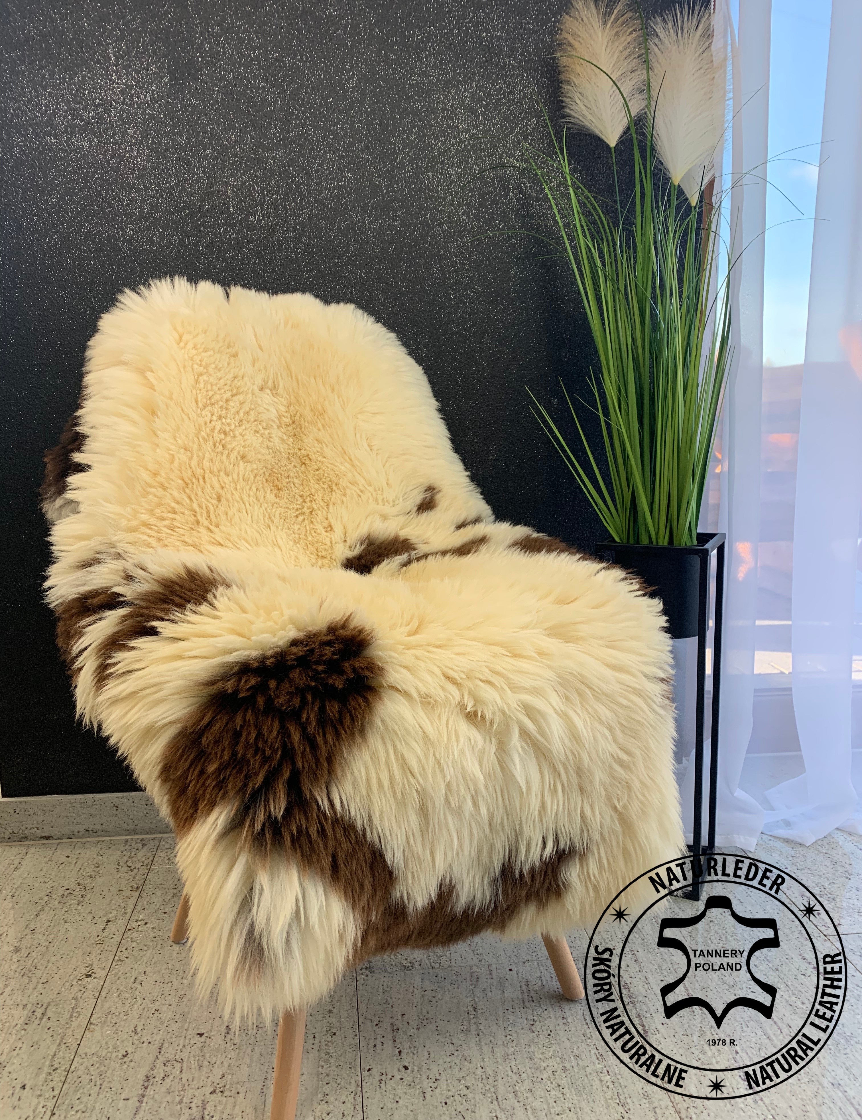 Peaux de mouton - Aujourd'hui un peu sur nos peaux de mouton hollandaises