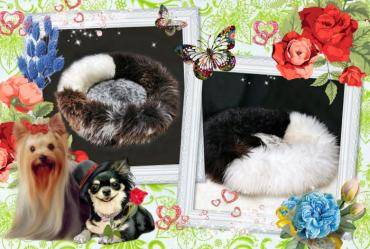 Peaux de mouton - Lits pour animaux de compagnie - Rendez votre petit ami aussi câlin avec de la peau de mouton naturelle !