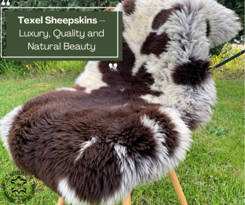 Peaux de mouton - Peaux de mouton Texel – Luxe, qualité et beauté naturelle