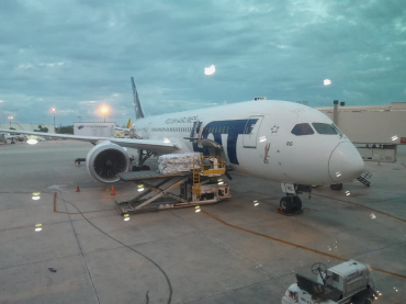 Peaux de mouton - Dernier séjour à Miami beach et Key West